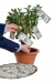 LEARN How To Make Money Online!